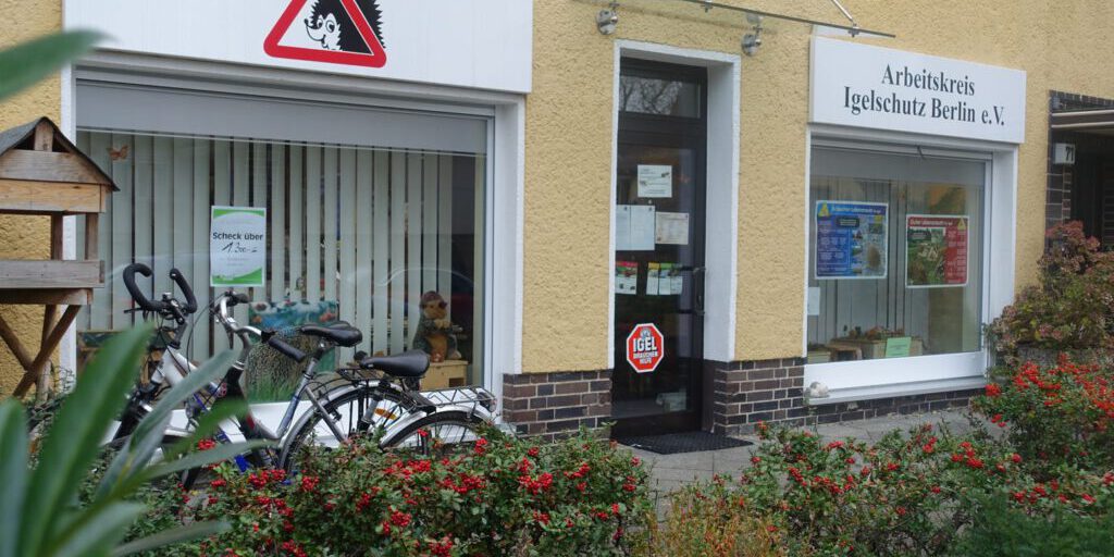 d8db4756-3bed-43f9-afc4-27bc859b319c-1024×683