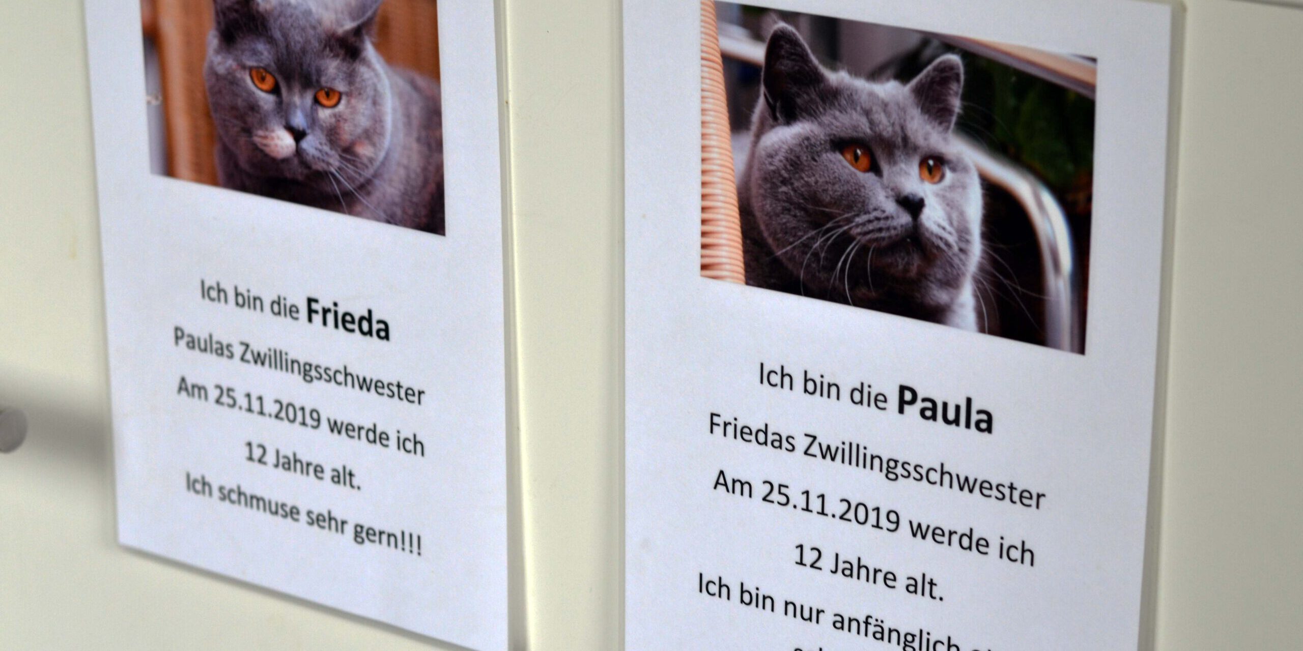 Angelika-Unger-Stiftung-Besuch-Vogelgnadenhof-Berlin-5