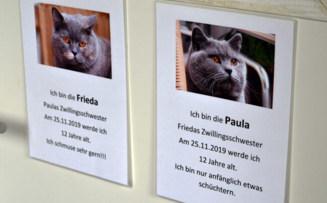 Angelika-Unger-Stiftung-Besuch-Vogelgnadenhof-Berlin-5