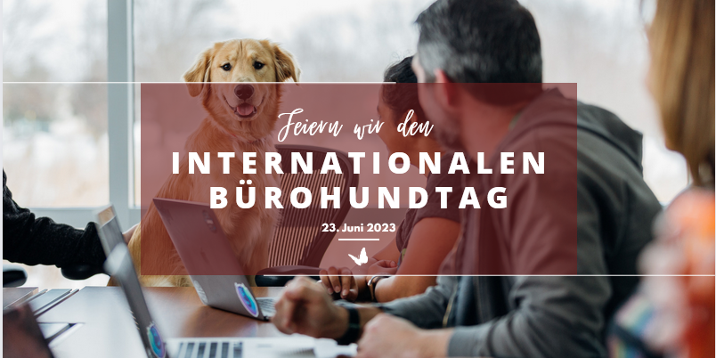 MicrosoftTeams-image (41)