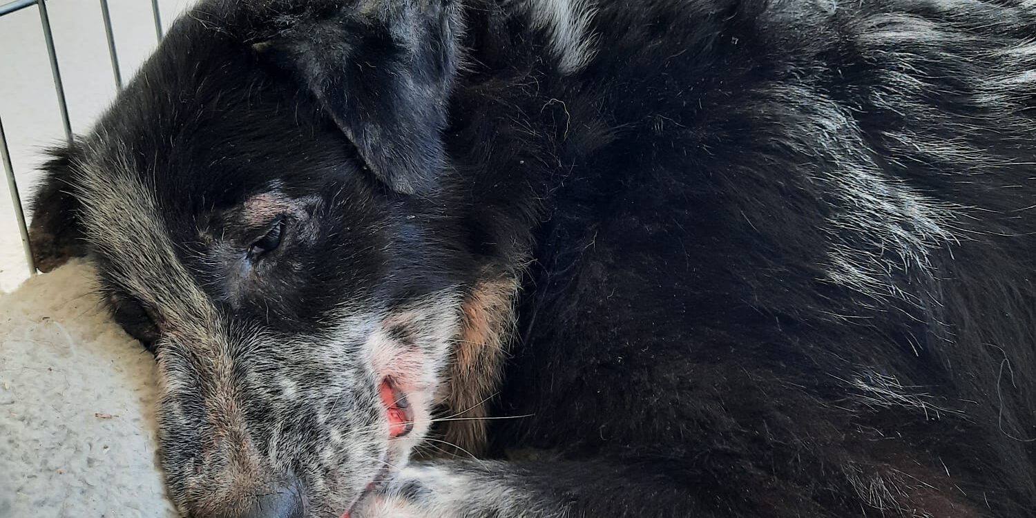 WhatsApp Image 2024-03-20 at 12.11.56