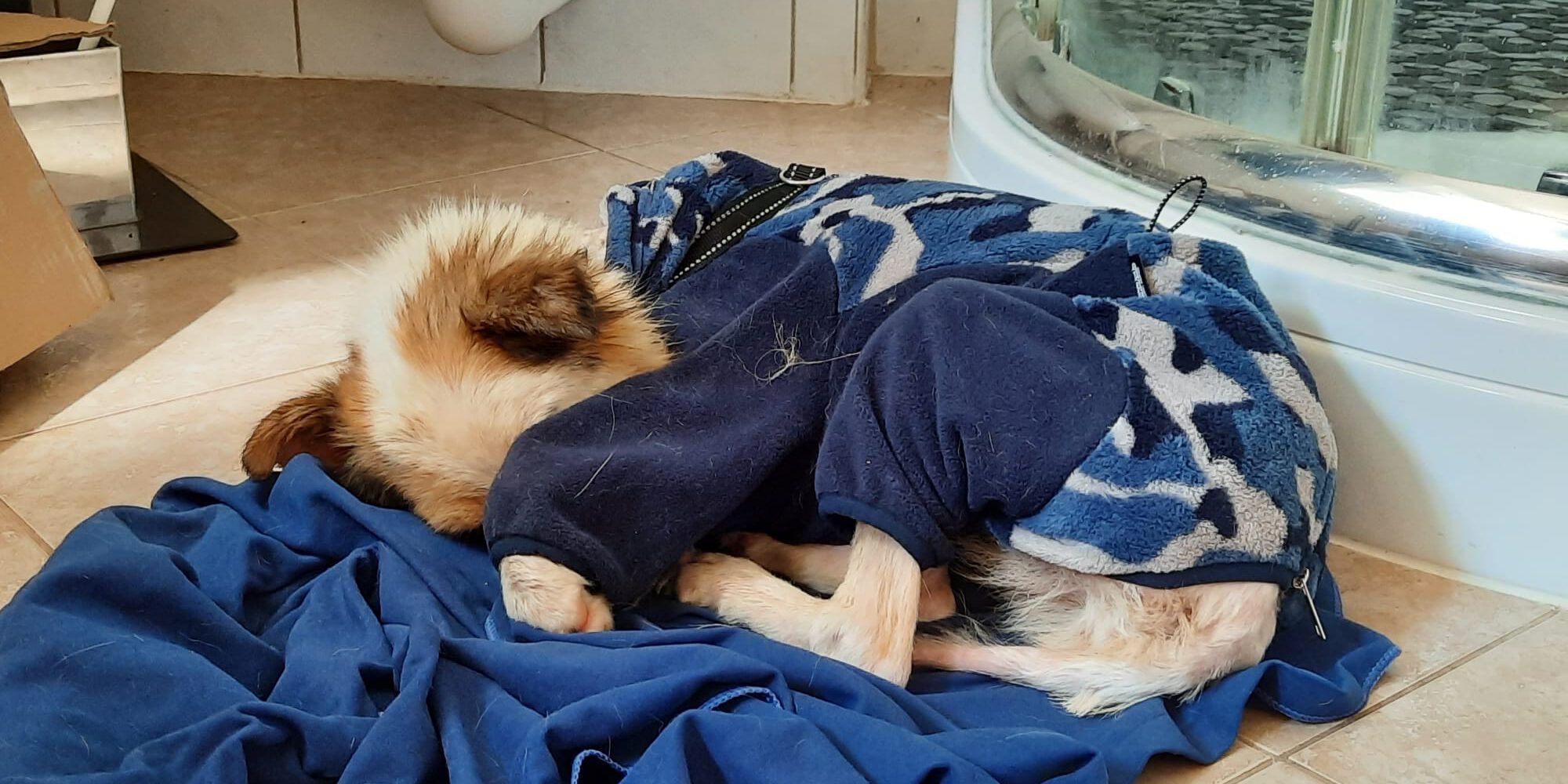 WhatsApp-Image-2024-07-01-at-10.03.542