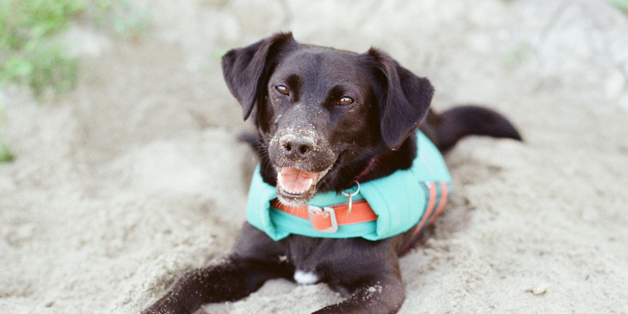 charlie-harland-aJHEMZfapgg-unsplash