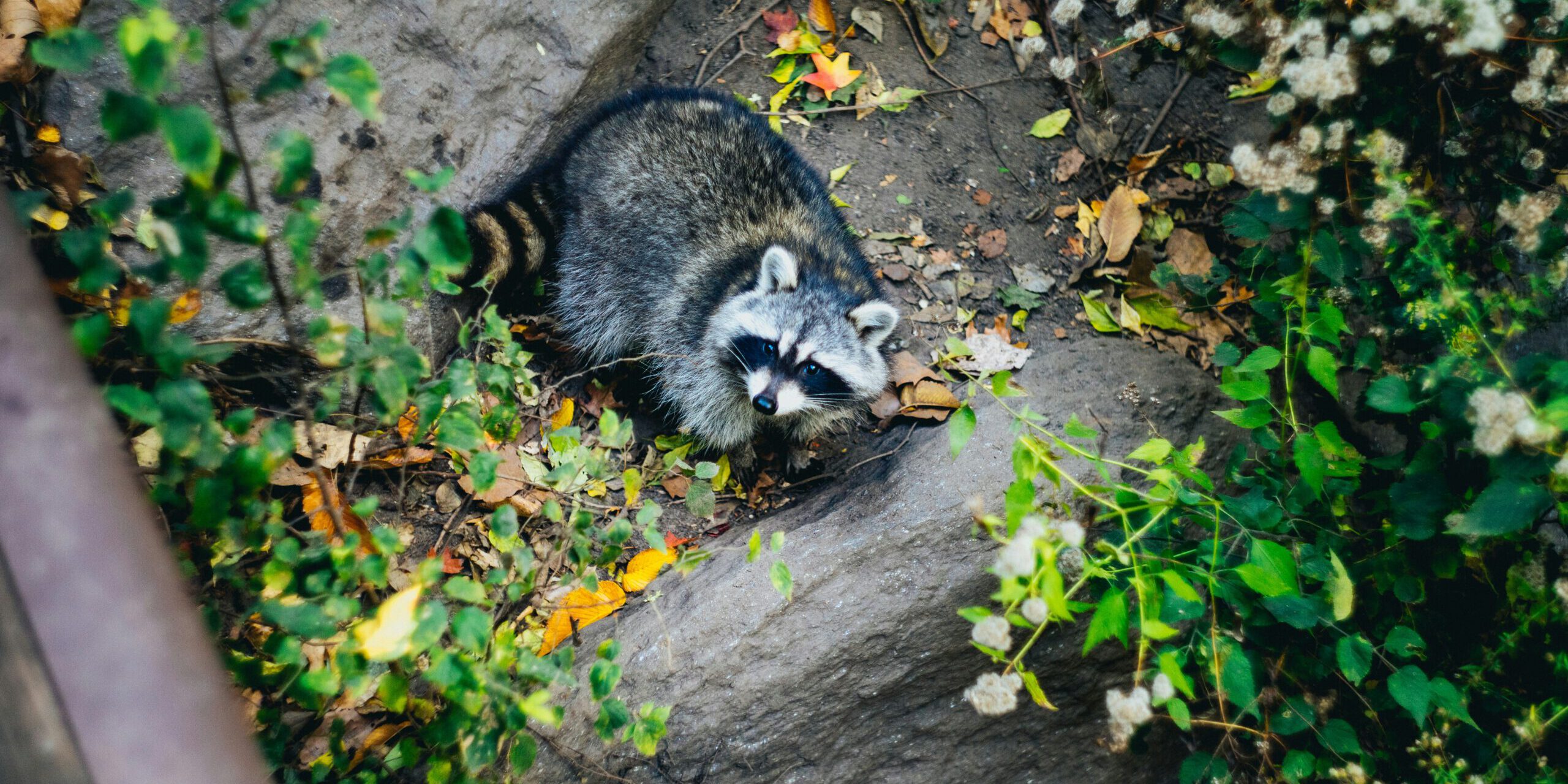 dan-gold-Xxf8W00NU-A-unsplash